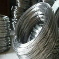 galvanized wire