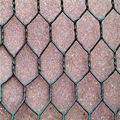 Hexagonal   Wire  Mesh