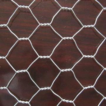 Hexagonal   Wire  Mesh 2