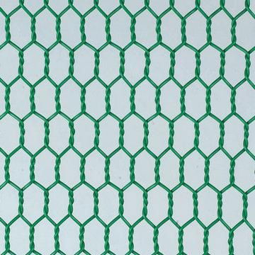 Hexagonal   Wire  Mesh 3