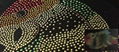 Fashion / new hot fix rhinestone motif