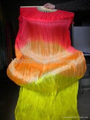 Fans veil