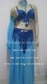 belly dance costumes 1