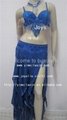 belly dance costumes 2