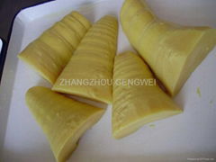 canned bamboo shoot