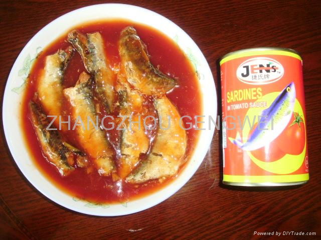 Canned Sardine 