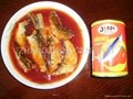 Canned Sardine 