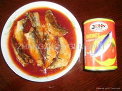 Canned Sardine