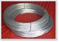 galvanized  wire 1