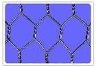 hexagonal  wire  netting