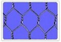 hexagonal  wire  netting 1