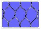 hexagonal  wire  netting