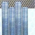 hexagonal  wire  netting 2