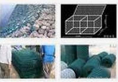 hexagonal   wire  mesh 2