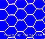 hexagonal   wire  mesh 4