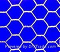 hexagonal   wire  mesh 4