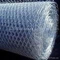 hexagonal   wire  mesh 5