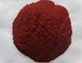 Red Rice Yeast