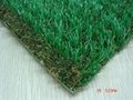 Artificial Grass 5