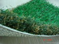 Synthetic Grass 1