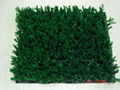 Synthetic Grass 2