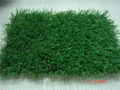 Synthetic Grass 5