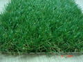 Soccer Grass 2