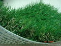 Soccer Grass 3