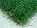 Soccer Grass 4