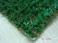 Soccer Grass 5