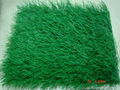 Landscape Turf 2