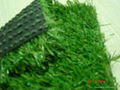 Synthetic Turf 1