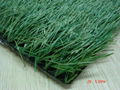 Artificial Turf