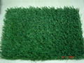 Artificial Turf  4