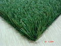 Artificial Turf  5