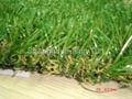 Landscape Lawn 5