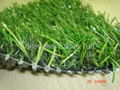 Fake Grass  1