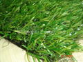 Fake Grass  3