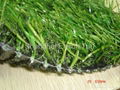 Fake Grass  5