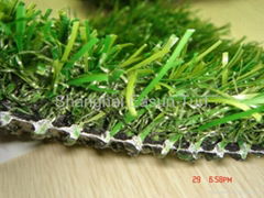 Sports Turf