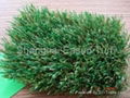 Basketball Grass