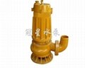 WQ Submersible Sewage Pump 1