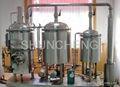 100l pilot brewing system