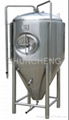 fermenter/fermentor 2