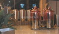 7BBL beer brewing equipment