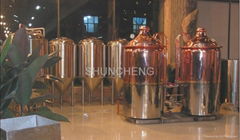 7BBL beer brewing equipment