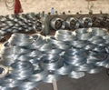 Galvanized iron wire 1