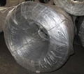 Galvanized iron wire 4