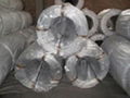 Galvanized iron wire 3