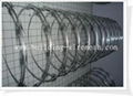 Razor Wire 3